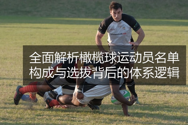 全面解析橄榄球运动员名单构成与选拔背后的体系逻辑