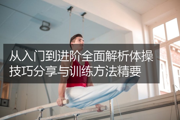 从入门到进阶全面解析体操技巧分享与训练方法精要
